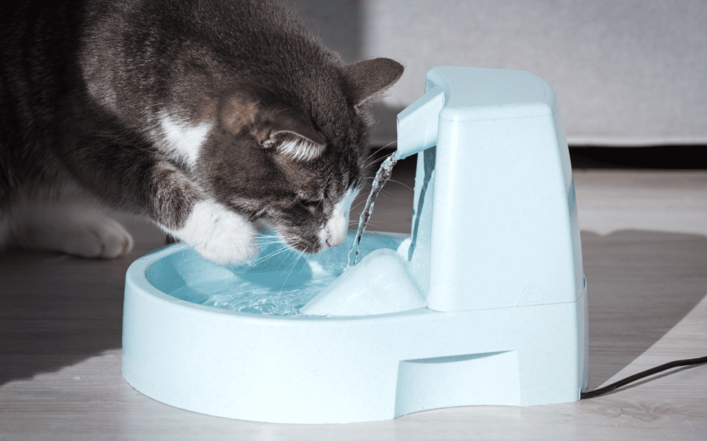 The Ultimate Guide to Keeping Your Cat Hydrated: Tips for Every Situation 4 cat drinking from water fountain
