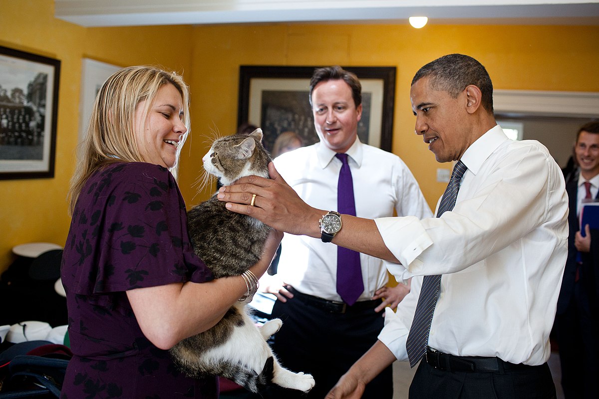 The History of Larry at Downing Street 1 Obama Meeting Larry The Cat