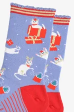 close up of festive cat socks