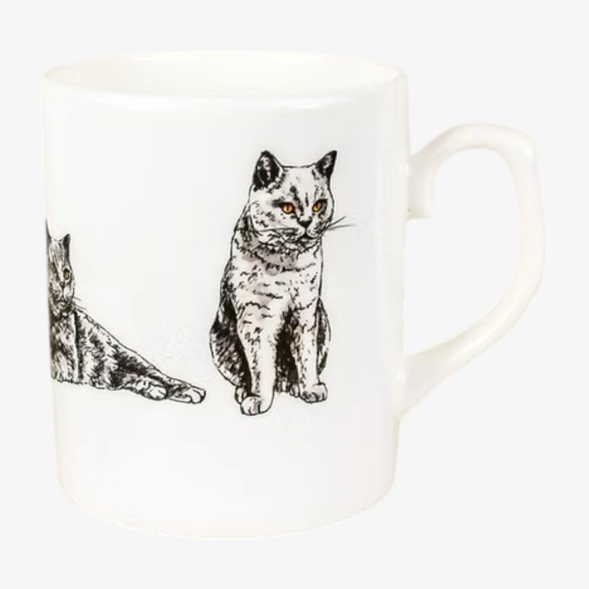 British Blue Cat Mug