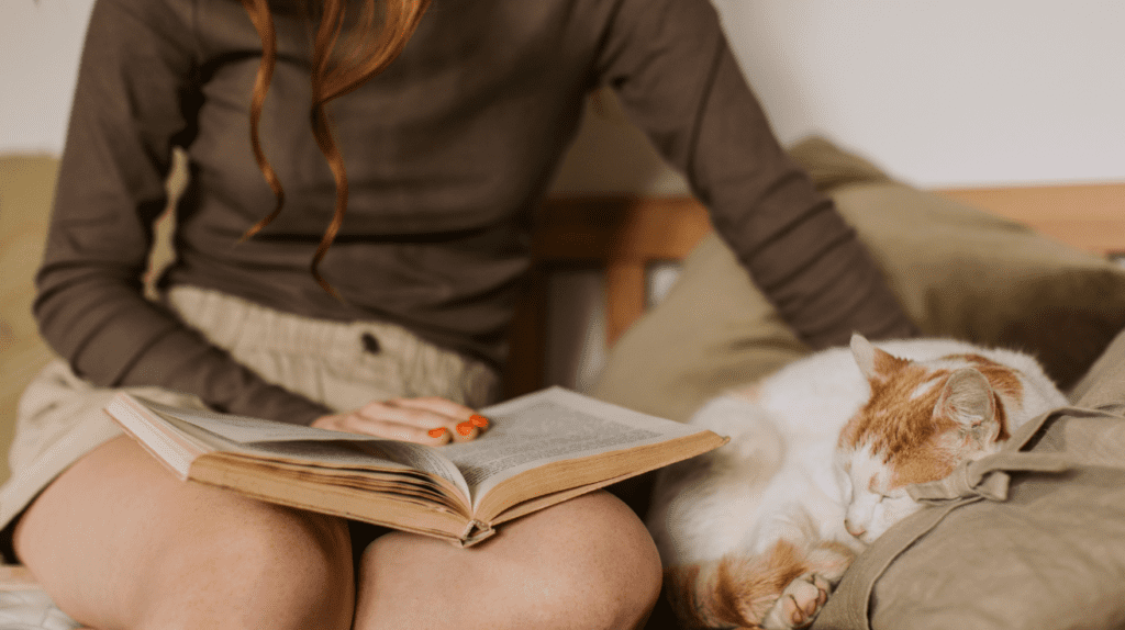 cat following around human