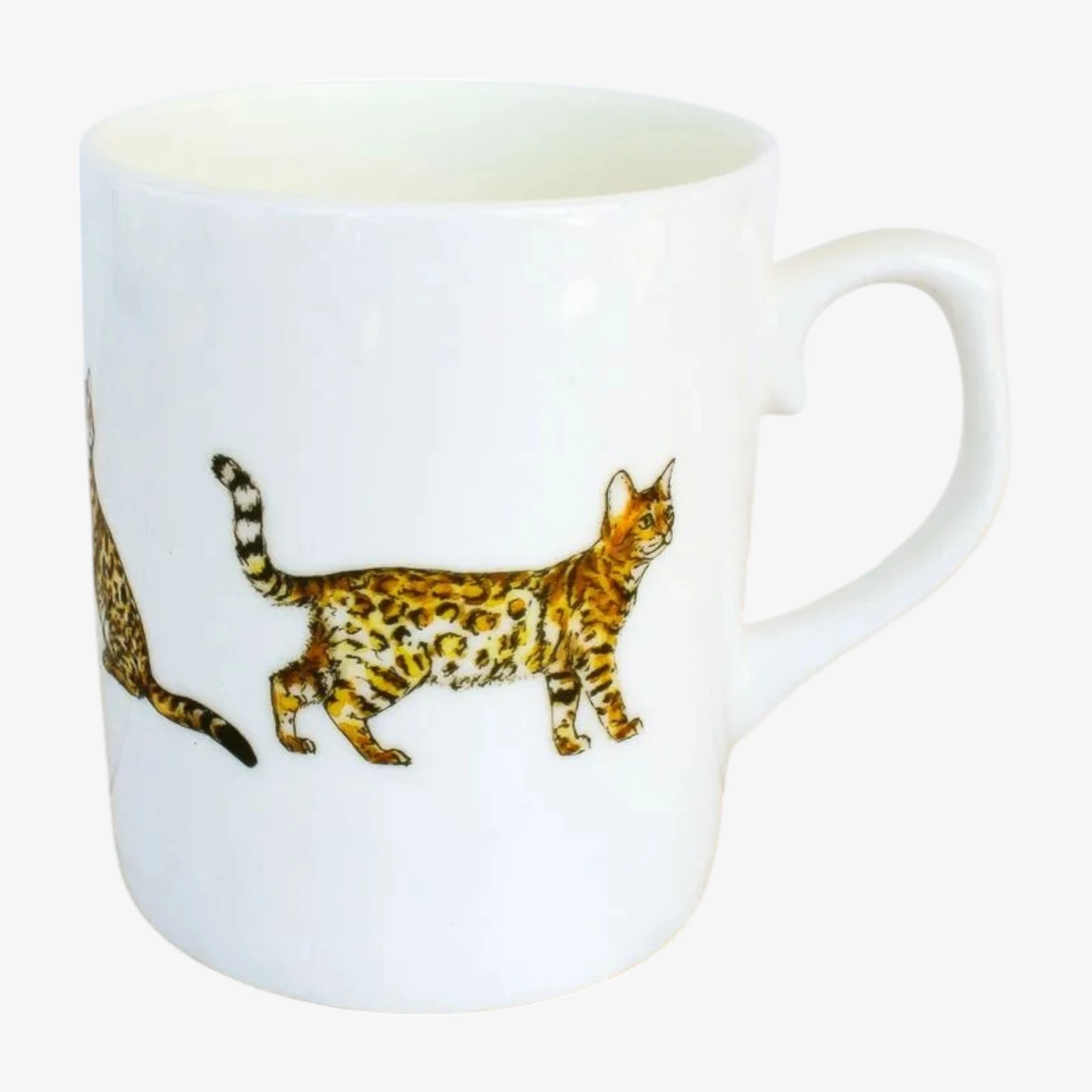 hand drawn bengal cat mug